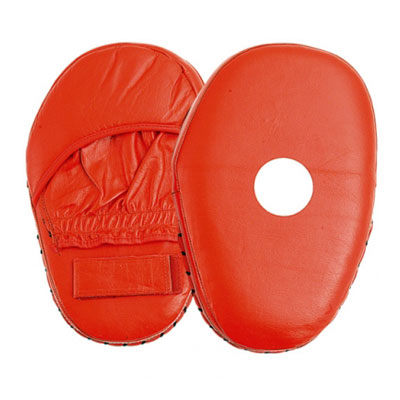 Focus Mitts